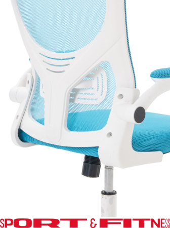 Офисное кресло Sport&Fitness SFBRCS20W, белый, голубой