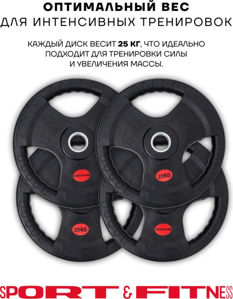 Диск Sport&Fitness SFBRD0012-4 25 кг