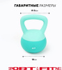 Гиря Sport&Fitness SFBRKB002 цельнолитая 5 кг