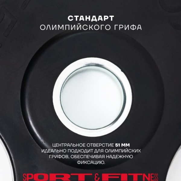 Диск Sport&Fitness SFBRD0012-4 20 кг