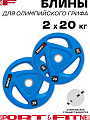Диск Sport&Fitness SFBRD007-20x2 40 кг