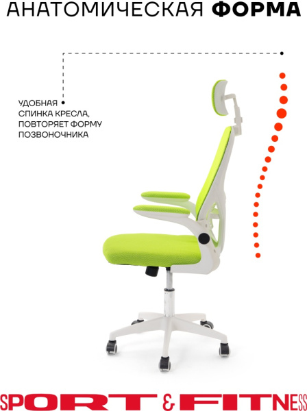 Офисное кресло Sport&Fitness SFBRCS20W, белый, зеленый