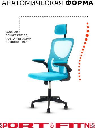 Офисное кресло Sport&Fitness SFBRCS20BCombo1, черный, голубой