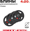 Диск Sport&Fitness SFBRD0012-4 20 кг