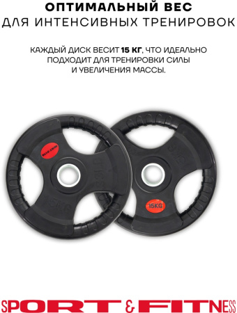 Диск Sport&Fitness SFBRD0012-2 15 кг