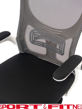 Офисное кресло Sport&Fitness SFBRCS20W, белый, серый