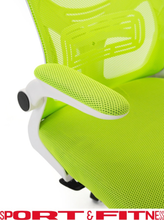 Офисное кресло Sport&Fitness SFBRCS20W, белый, зеленый