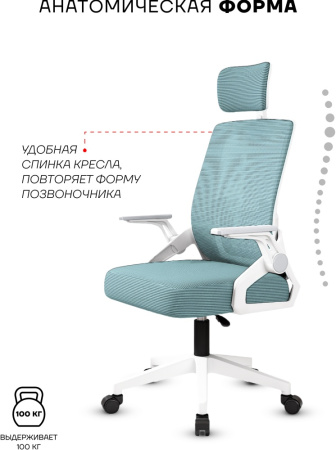 Офисное кресло Sport&Fitness SFBRCS12W, белый, бирюзовый