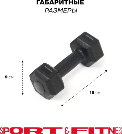 Гантель Sport&Fitness неразборная 2 кг