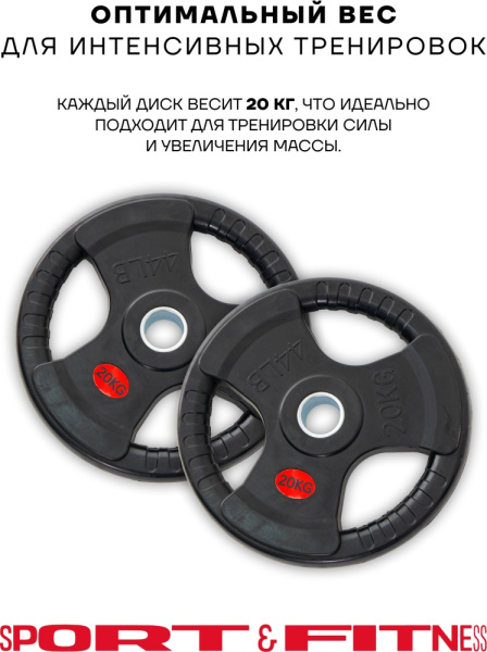 Диск Sport&Fitness SFBRD002-20x2 40 кг