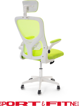 Офисное кресло Sport&Fitness SFBRCS20W, белый, зеленый