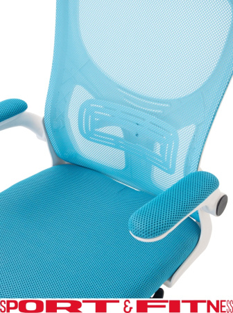 Офисное кресло Sport&Fitness SFBRCS20W, белый, голубой