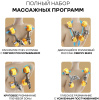 Массажное кресло Sport&Fitness SFBRMC21 до 150 кг 20 программ