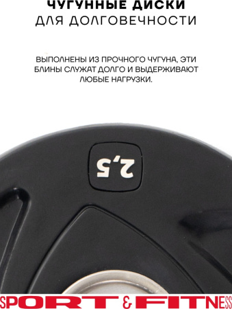 Диск Sport&Fitness SFBRD0011-2.5x2 5 кг