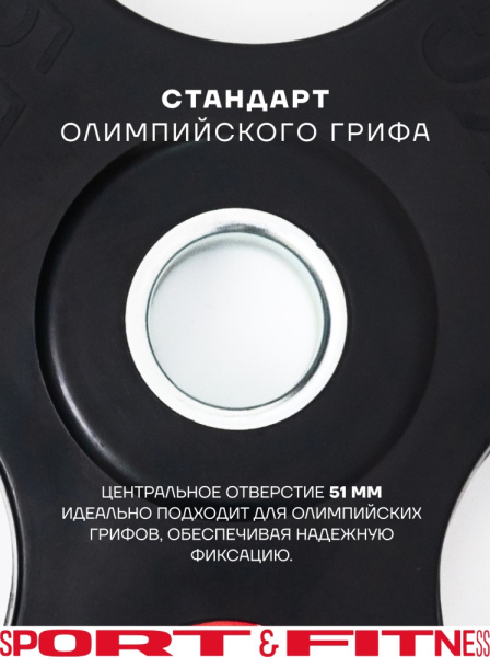 Диск Sport&Fitness SFBRD002-20 20 кг