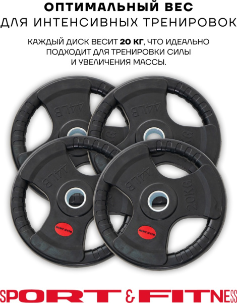 Диск Sport&Fitness SFBRD0012-4 20 кг