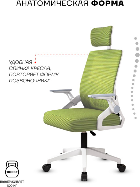 Офисное кресло Sport&Fitness SFBRCS12W, белый, зеленый