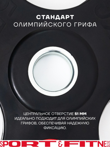 Диск Sport&Fitness SFBRD001-25x2 50 кг
